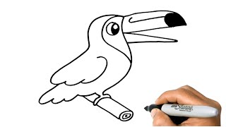 How to DRAW a TOUCAN Bird Easy Step by Step Drawings