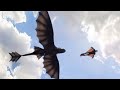 How to train your dragon Forbidden Friend in 4k