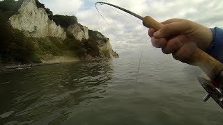 Sjøørretfiske/ Havørredfiskeri Møn, Danmark  \