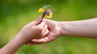 Help Bring Colorado’s First Nature Library to Life 🌿 | Anythink Kinship Campaign