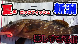 VOL.43 【新潟】夏の堤防でロックフィッシュを狙ってみた