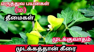 முடக்கத்தான் மூலிகை பயன்கள் | Mudakkathan muligai benefits tamil