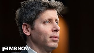 20-year-old charged with attempted murder of Sam Altman had posted about AI fears