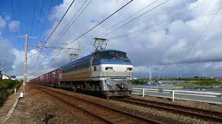 2018/09/09 JR貨物 新田踏切からEF66-100番台牽引貨物列車3本