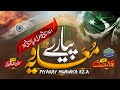 Piyaray Muavia || Abubakar Ashraf Madni || Beautiful Manqabat 2024