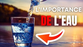 Quelle Est L'importance de L'eau Dans notre vie Quotidienne : #l'eau