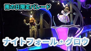 【雨の日限定】ナイトフォール・グロウ 東京ディズニーランド　Nightfall glow :Tokyo Disneyland