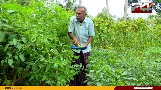 കാക്കിക്കുള്ളിലെ കർഷകൻ; വിശ്രമ ജീവിതത്തിലും കൃഷിയെ ചേർത്ത് പിടിച്ച കടവൂരുകാരൻ