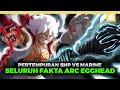 KEMATIAN VEGAPUNK!! Seluruh Fakta One Piece Arc Egghead