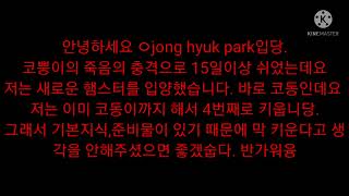 저희의 새로운 가족 코동이 /  슬참