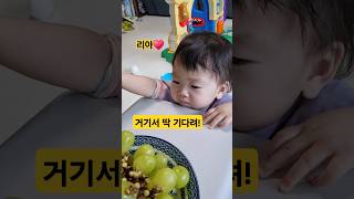 아기가 먹을수 있을까요? (리아♥️샤인머스켓) #한평가족 #baby #육아 #리아