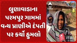 Mahisagar News | મહીસાગરના લુણાવાડાનું પરમપુર ગામમાં વન્ય પ્રાણીએ દંપતી પર કર્યો હુમલો