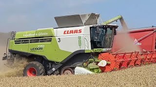 LANDBODEN GLASIN 5000 ha Saison 2024.Claas Jaguar/Lexion/Xerion,Fendt,Anaburger,Agroliner,Horsch🌾🌾🌾