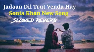 Jadaan Dil Tarut Venda Hey Slowed Reverb New Song 2023 Sonia Khan Ansaar Khan ibrar Khan