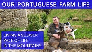 MOVING TO CENTRAL PORTUGAL, BUYING A FARM, LIVING A SLOWER PACE OF LIFE IN THE MOUNTAINS