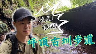 適合夏天的清涼健行！探訪坪頂古圳步道｜Pingding Canal Hiking Trail