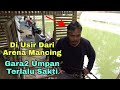 Di Usir ketika mancing gara-gara umpan terlalu Sakti dan jitu..!