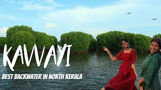 Kavvayi Backwaters at payyanur | Kavvayi Mangrove forest | Kayaking in backwaters kerala | Dhee life