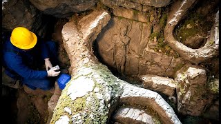 Shocking Archaeological Find That Changes Everything We Know About Our Past