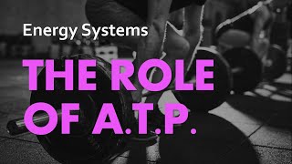 The Role of ATP | Energy Systems 01 | Anatomy & Physiology