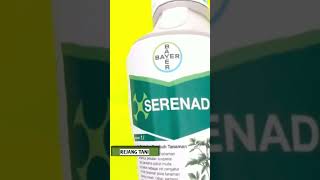 serenade Bayer, zat pengatur tumbuh tanaman