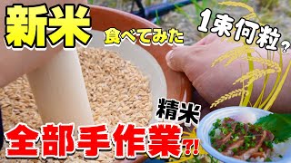 全て手作業で精米⁉新米を美味しく食べるはずが大変なことになった…稲1束で何合分？田舎 農業 体験 【稲刈り】