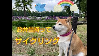 お弁当持って水元公園までサイクリング^^