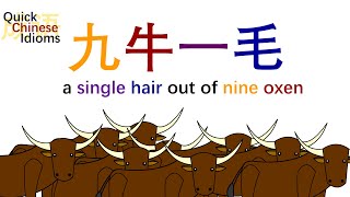 Quick Chinese Idioms Ep30: 九牛一毛 a single hair out of nine oxen