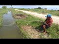 Fishing | Amazing fishing | Catching catfish & baam fish