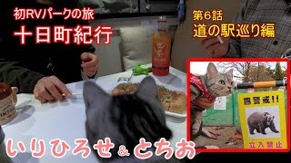 #6 猫とキャンピングカー【ねこ旅】十日町紀行　初RVパークの旅