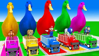 5 Giant Duck Cartoon,Cow,Elephant,Tiger,Lion,Gorilla, Paint Wild Animals Crossing Fountain Animation