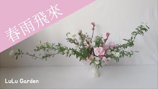 花與貓｜春雨飛來 Springtime｜小原流展開式 Ohararyu Radial  Form