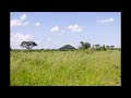 Chobe National Park - The 10 of the Best Places to Visit in Botswana