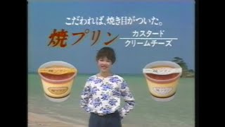 オハヨー乳業の焼きプリンを食べる女性バージョンのCM(1995年Version CMソングは中島優子『風に吹かれて』 )