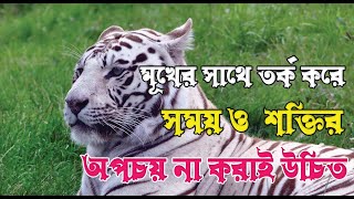 মূর্খের  সাথে তর্ক করে সময় ও  শক্তির অপচয় না করাই  উচিত