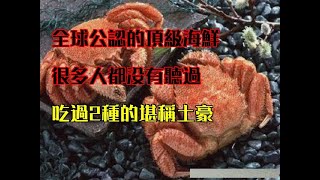 全球公認的頂級海鮮，很多人都沒有聽過，吃過2種的堪稱土豪！