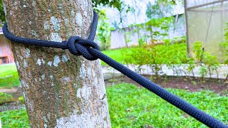 Amazing Knot in Our Daily Life!