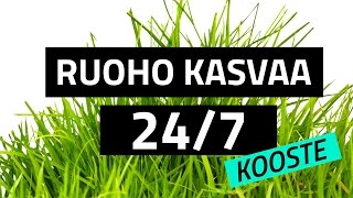 RUOHO KASVAA 24/7 // KOOSTE STRIIMISTÄ