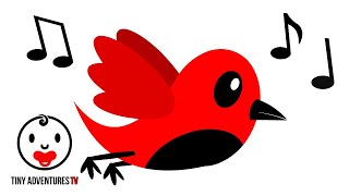 Baby Sensory - Relaxing Flying Bird to Calm Newborn - Black White Red