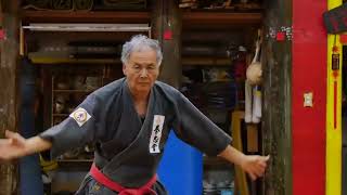 Seiunchin 制引戦 kata Okinawa goju-ryu karate Kenshikai Tetsuhiro Hokama