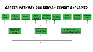 CBC Subject & Career Pathway Kenya || 4 Major Career Pathways -Expert precise & Simple Explanation