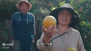 重庆大山里独居老人的橘子 1米自己摘 山坡上野菜很多 还能钓鱼