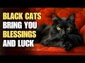 Here's why the black cat is your best good luck charm