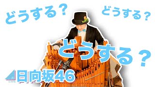 【日向坂46「どうする？どうする？どうする？」】手回しオルガン/StreetOrgan（Flute Type）