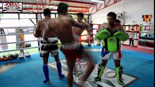 Muay Thai Speed: Singdam and Manachai Fast Kicks - YOKKAO Training Center Bangkok