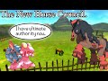 the horse council full jimothy cool compilation