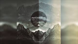 Psychedelic Selections Vol. 02 (Compiled by Banel)