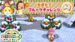 【ポケ森】もぎたてフルーツチャレンジ【フォーチュンクッキー】