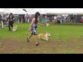 2018 07 16熱海愛犬クラブ展☆コーギー牡bob戦