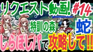 【リクエスト動画！#14】特訓の森 蛇をしらほしパで攻略して！